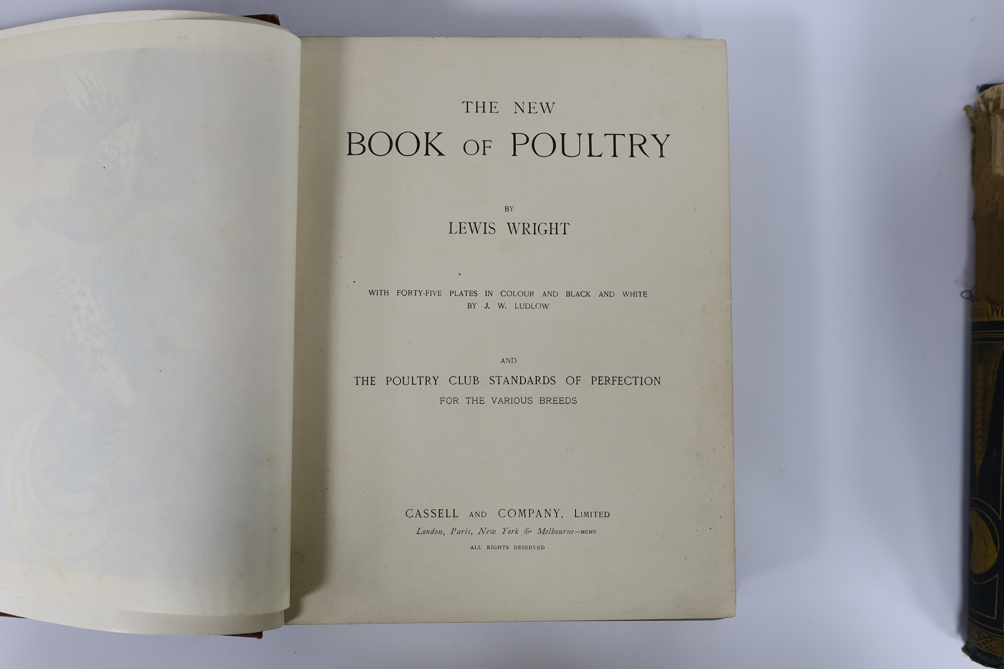 Tegetmeier, W.B. - The Poultry Book: comprising the breeding and management of profitable and ornamental poultry....new edition, greatly enlarged. coloured pictorial and printed titles, 28 coloured plates (ex 29, lacks f